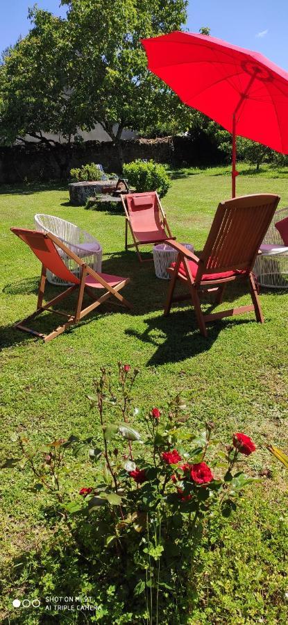 L'Aubinoise Bed & Breakfast Saint-Aubin-de-Luigné Dış mekan fotoğraf