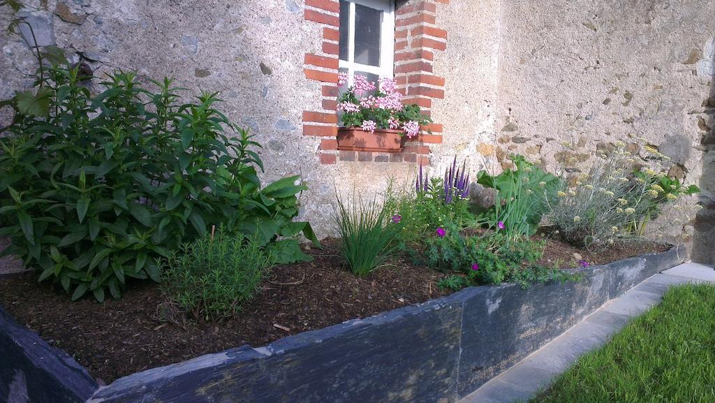 L'Aubinoise Bed & Breakfast Saint-Aubin-de-Luigné Dış mekan fotoğraf